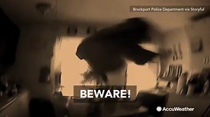 This squirrel didn’t make for the best house guest after it broke into this house, stole cookies, and attacked a police officer in Brockport, New York: | AccuWeather