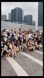 13K views · 108 reactions | Triangle House Design  #fblifestyle #architecture #uniquedesign | ताज़ा खबर | Facebook