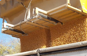 Speed Loader Corn Bucket