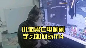 【FF14】小猫男在电脑前学习如何玩ff14