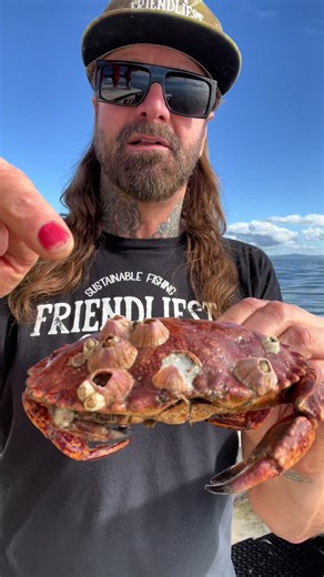 Exploring Barnacle Burgers and Removal Techniques