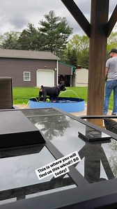 Don’t mind my hose slayer | Holley&Tuner the Rotties