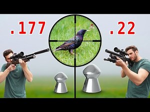 .177 vs .22 Airgun Hunting!