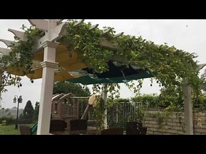 Infinity Canopy VS. The Rain