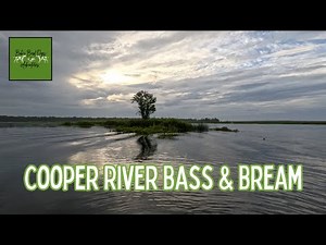 Cooper River Bass and Bream Morning