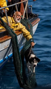 Diver Risks His Life to Save Dog Caught in Shark Net ! 🎬This video was produced by Network Media and Blue-X Studio | Simulated Reality