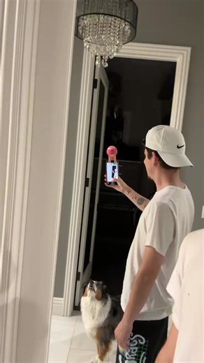 This gadget is supposed to help you take perfect selfies with your dog.. It worked right 🤣 | FaZe Rug