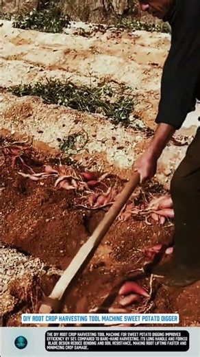 DIY root crop harvesting tool machine sweet potato digger
