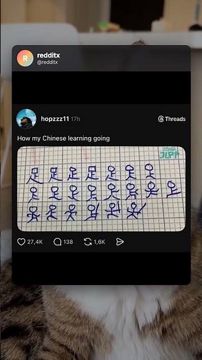 Best Memes From Reddit