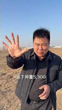 黄淮海生态区，到底几月份属于春播？大家有知道的吗？ #三农种植 #玉米种植 #种植技术分享