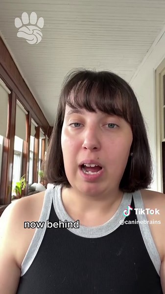 Our Ph.D. students, Sophie, explains the important regions in your dog’s brain! 🧠🐾 Want to learn about your dog’s brain? Check us out: caninebrains.org #dogsoftiktok #dogscience #dogfacts #enrichmentfordogs #dogbehavior #dogbraingames #dogresearch #neuroscience #dogmom #science #harvard #dogfacts101 #smartdog #dogtraining #dogtok #caninescience #canineenrichement #caninecommunication #dogbrain #dogeducation