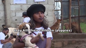 Ethiopian woman opens an animal shelter to rescue stray dogs