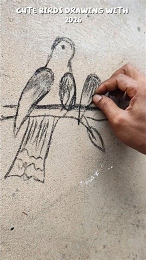 Cute birds drawing| Birds drawing easy| #art #drawing #birds #birddrawing