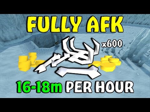 FULLY AFK Skeletal Wyvern Guide - 600 Kills & 18m GP/H