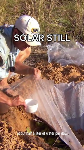 Survival Tips: How to Make a Solar Still for Fresh Water