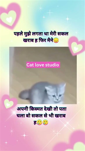 😹😹 Cute cats#shortsfeed​ #funnyvideo​ #comedy #viralshorts #memes #shorts