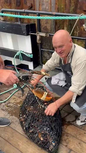 Pick your own lobster!!🦞 Stromness pier, Stromness shopping week, last day Saturday. From 12 noon#orkneyfoodanddrink #orcaventures #stromnessharbour #stromnessshoppingweek #islandlife #orkneylife #boatlife⚓️⛵️ | Orca Ventures Ltd