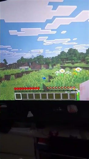 Minecraft PS5