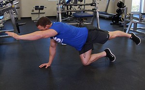 Ipsilateral Bird Dog