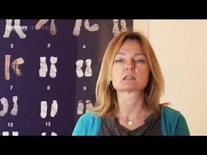 ENCODE: Das größte Projekt der Humangenetiker