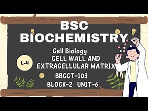 L-4 Cell Wall and Extracellular Matrix | BBCCT-103 | Block-2 Unit-6 | IGNOU B.Sc Biochemistry