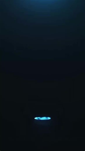 The things you find on a Nature walk. between Forster main beach and One Mile Beach. NSW.#beachvibes #beach #onemile #forster #fyp #beetles #fyp #fypシ