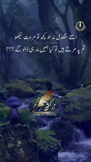 #زرکش #zarkish_writes #goldenwords #deeplines_zarkish #سنہری_باتیں #zarkish_urdushairi #sadpoetry_zarkish #sadpoetry_zarkish