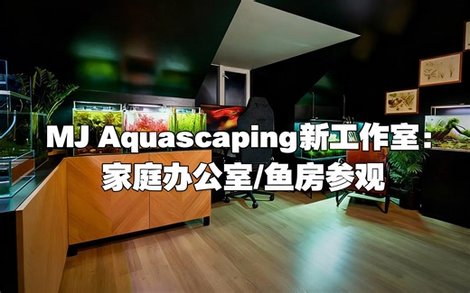 [中配]MJ Aquascaping新工作室：家庭办公室/鱼房参观 - MJ Aquascaping