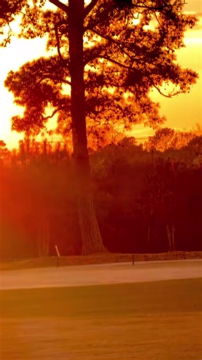 Freestyle Motocross: Double Flip Jumps Explained