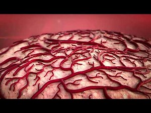 Erythromelalgia: its causes and treatment