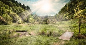 10 stunning woodland walks you can visit in a day from Hull