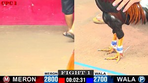 Daga88 - trực tiếp đá gà cpc1