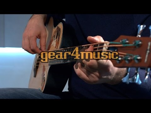 Roundback Electro Acoustic 5 String Bass Guitar Performance