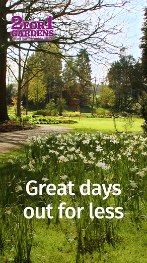 7.3K views · 26 reactions | Enjoy great days out for less, with the...