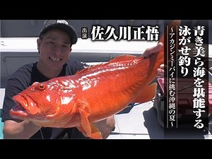 #429 Enjoying the beautiful blue sea with live bait fishing ~ Summer in Okinawa with red sea bream ~