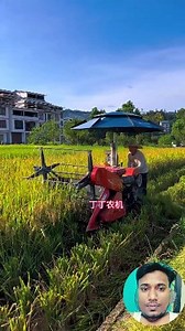 mini paddy harvest machine 🔥 #shorts #harvester #farmmachinery #miniharvester #agricultureworldwide #combineharvester #agriculture #farmer | 𝘽𝙡𝙪𝙚 𝘾𝙝𝙚𝙢𝙥