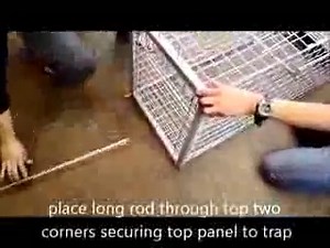 Heavy Duty X-Large Live Animal Trap