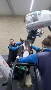 52K views · 357 reactions | ROBOT CT SCANN 朗 ♾ Equine Care Group...