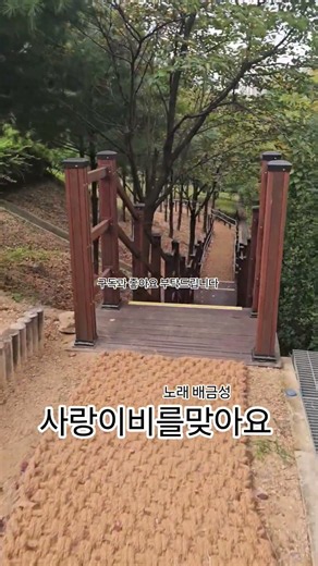 사랑이비를맞아요 배금성 노래 #동탄 #트로트 #동탄2신도시 #목동 #산책길 #산책로 #하늘 #가을여행