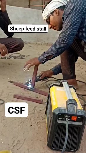 @topfans Chopan sheep farm Kashmir Sheep Farming Sheep Shokeen Merino Sheep Farm Lassipora Pulwama Jk Chopan Association #kashmirsheep #trendingreel #dorperfullblood #sheepofinstagra #dorpersheep #merinowool #newzealandsheep #cute #LikeFollowShare #sheepfarm #tiktok #tranding | Chopan sheep farm