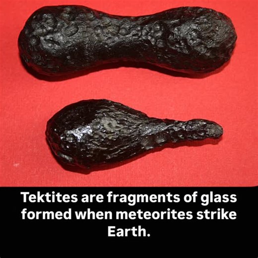 education on Instagram: "Tektites are fascinating pieces of natural glass appear when a meteorite slams into Earth with immense energy. The heat melts terrestrial rock and ejects it into the atmosphere, where it cools mid-air before landing back on Earth. These small, glassy objects have traveled vast distances, sometimes hundreds of kilometers from the impact site. Every Tektite is unique in shape, size, and composition, making them rare treasures for both geologists and collectors. Follow @fac