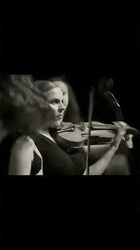 Humorous Vivaldi Quartet”