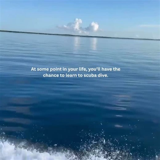 Scuba diving opens a whole new world waiting to be explored. The start of your adventure begins with the #padi Open Water Diver Course. Get certified. Get exploring 💙🤙. #padiopenwater #scubadiving #exploretheworld #adventure #ocean #paditv #discover #scuba #scubadiver #oceanlover #Wildlife #underwaterworld #oceanlife | Sail Fish Scuba