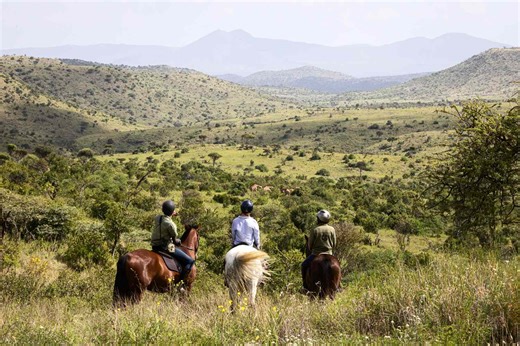 The 5 Most Underrated Safari Destinations, According to a Top Travel Advisor