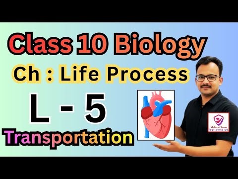 Class 10 Science|Revision 2026 Board Exam|Ch: 5 Life Processes | CBSE UP Board |Transportation | L-5