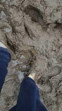 Nike Free Run 4.0 jumping into mud