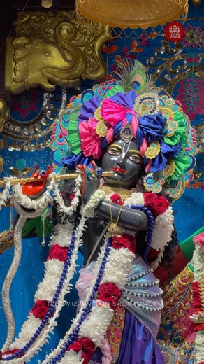 🌸Today’s Special Darshan 19 June 2026🌸Sri Sri Radha Madhava Mandir ISKCON Attapur #iskcon #darshan