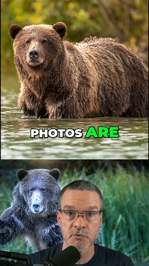 32K views · 344 reactions | How would you photograph this tree? Get your FREE camera settings cheat sheets. Visit timsphotos.com | TimsPhotos | Facebook