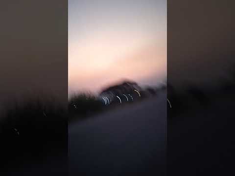 vamos al rio parte final