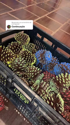 Exploring Pine Cones: Textures and Interactions